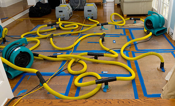 Professional Sewage Cleanup technician working in Oklahoma City, OK